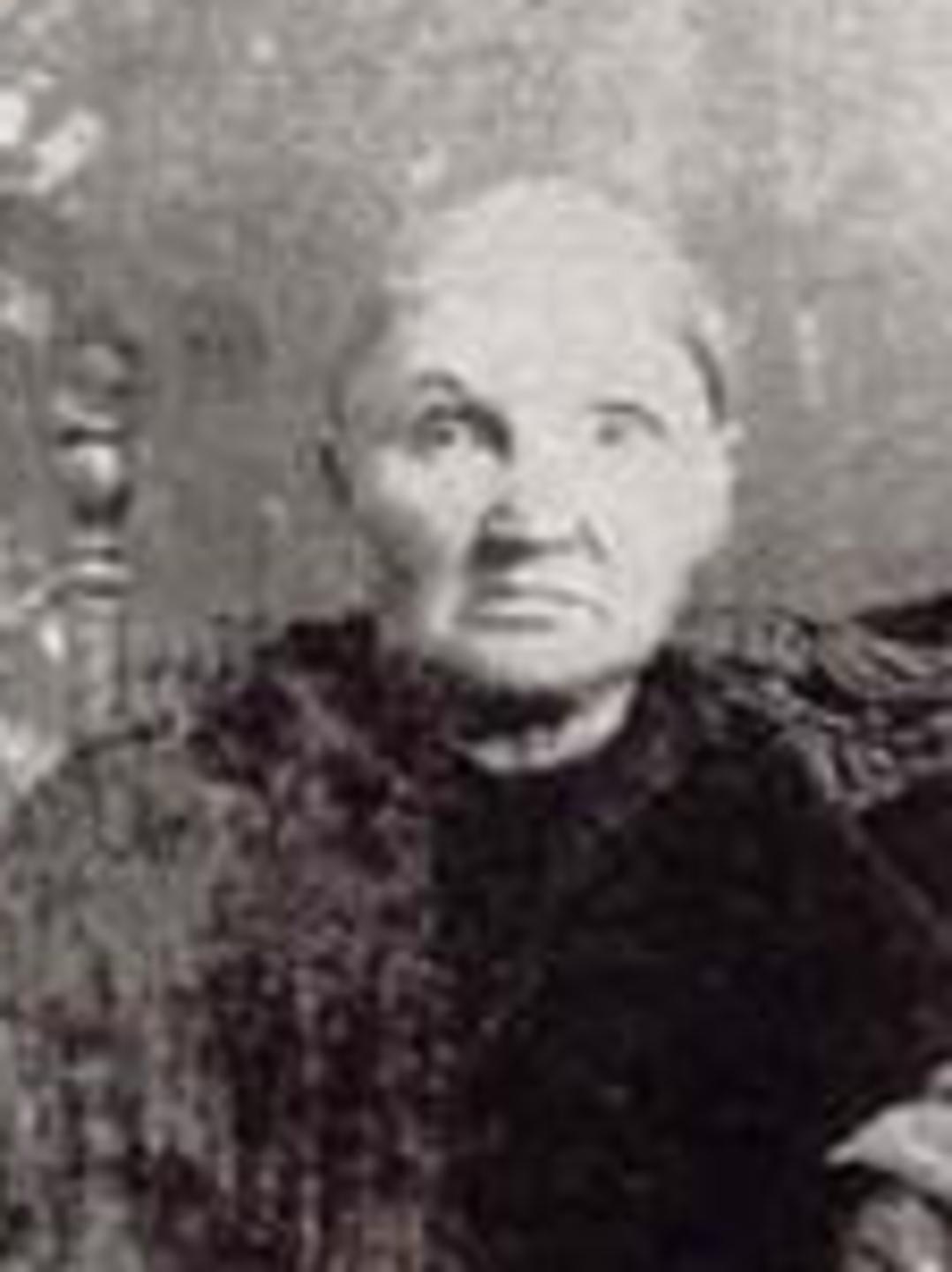 Huldah Catherine Hill (1842 - 1919) Profile
